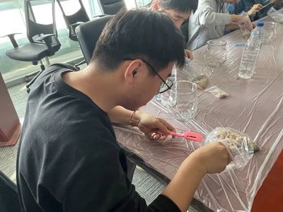 比較溫和的觀賞魚有哪些（常見觀賞魚種類）