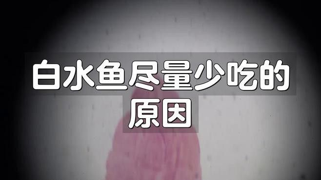 長白龍魚為何要少吃（白魚為何要少吃） 長白龍魚為何要少吃（白魚為何要少吃） 觀賞魚百科 第4張