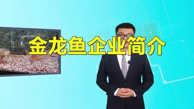 淄博金龍魚（淄博金龍魚是什么企業） 淄博金龍魚（淄博金龍魚是什么企業） 觀賞魚百科 第8張