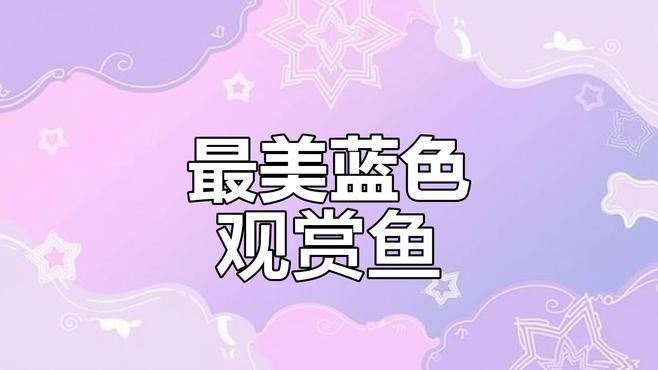 常見(jiàn)的藍(lán)色觀賞魚(yú)品種（常見(jiàn)的藍(lán)色觀賞魚(yú)品種介紹）