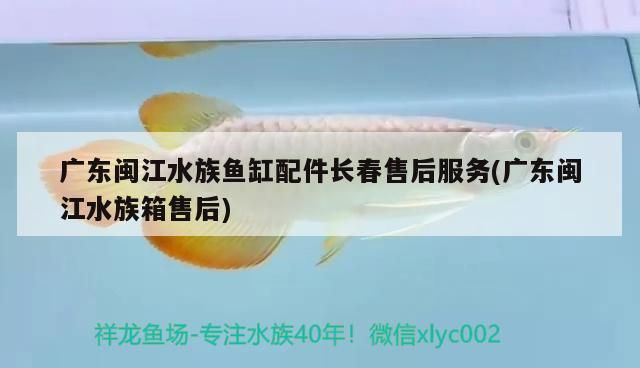 廣東閩江水族魚缸配件長春售后服務(廣東閩江水族箱售后)（廣東閩江水族十<strong><mark>大名</mark></strong>牌）