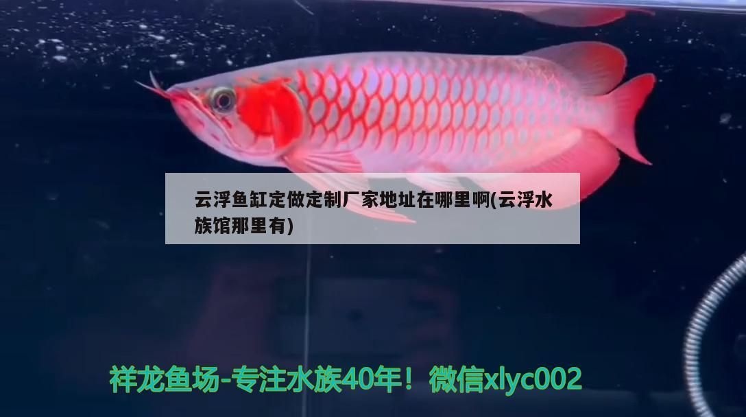 云浮魚缸定做定制廠家地址在哪里啊(云浮水族館那里有)（云浮魚缸定做定制廠家地址在哪里）
