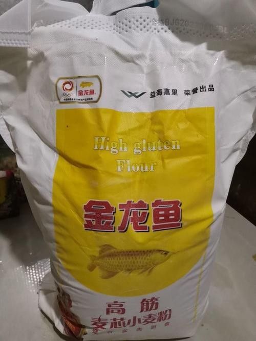郾城金龍魚(關于郾城金龍魚的介紹) 觀賞魚百科 第6張 郾城金龍魚(關于郾城金龍魚的介紹) 郾城金龍魚(關于郾城金龍魚的介紹) 觀賞魚百科 第6張