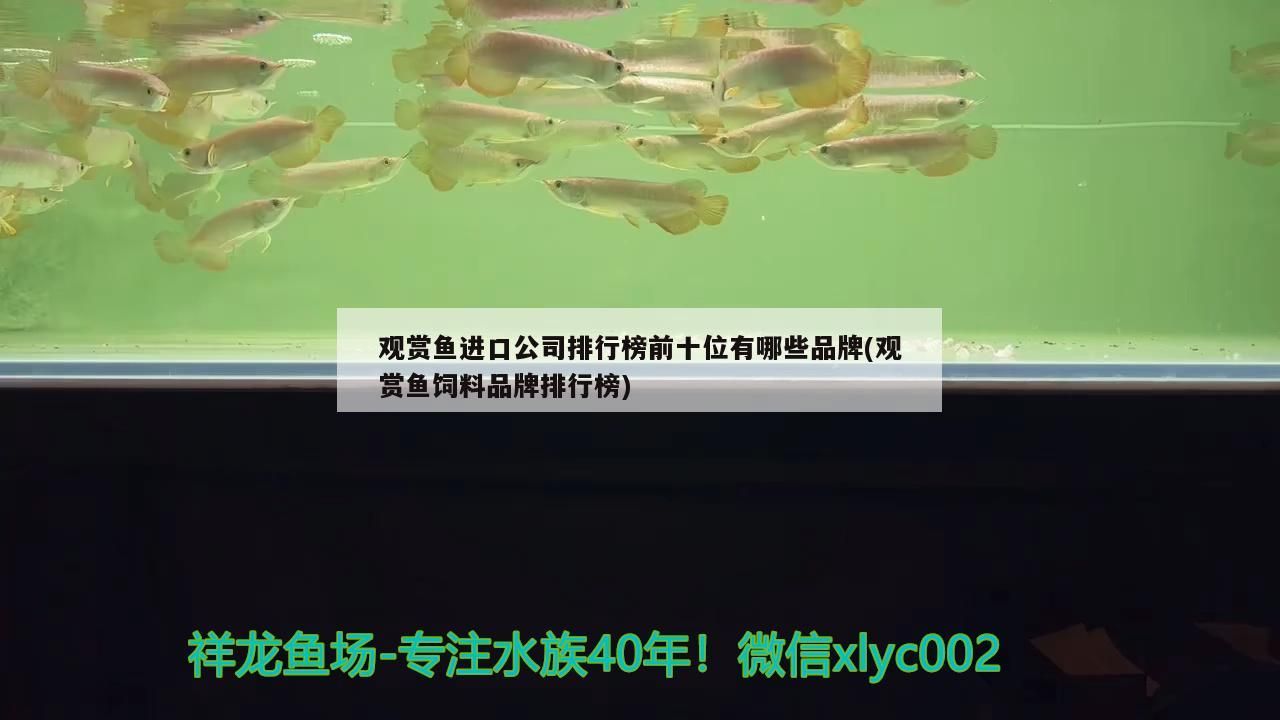 煮熟的鴨子飛了（“煮熟的鴨子飛了”現象對個人和組織可能產生影響）
