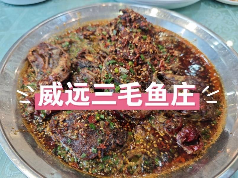 威遠三毛魚莊（內江威遠“三毛魚莊”為何這么火|爭創天府旅游名縣封面新聞）