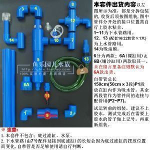 龍魚輕微掉眼怎么辦?。堲~掉眼最簡單的恢復）（養(yǎng)龍魚掉眼怎么辦）