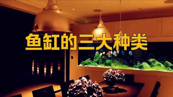 最建議買三樣魚缸（三款各具特色、廣受好評的魚缸）