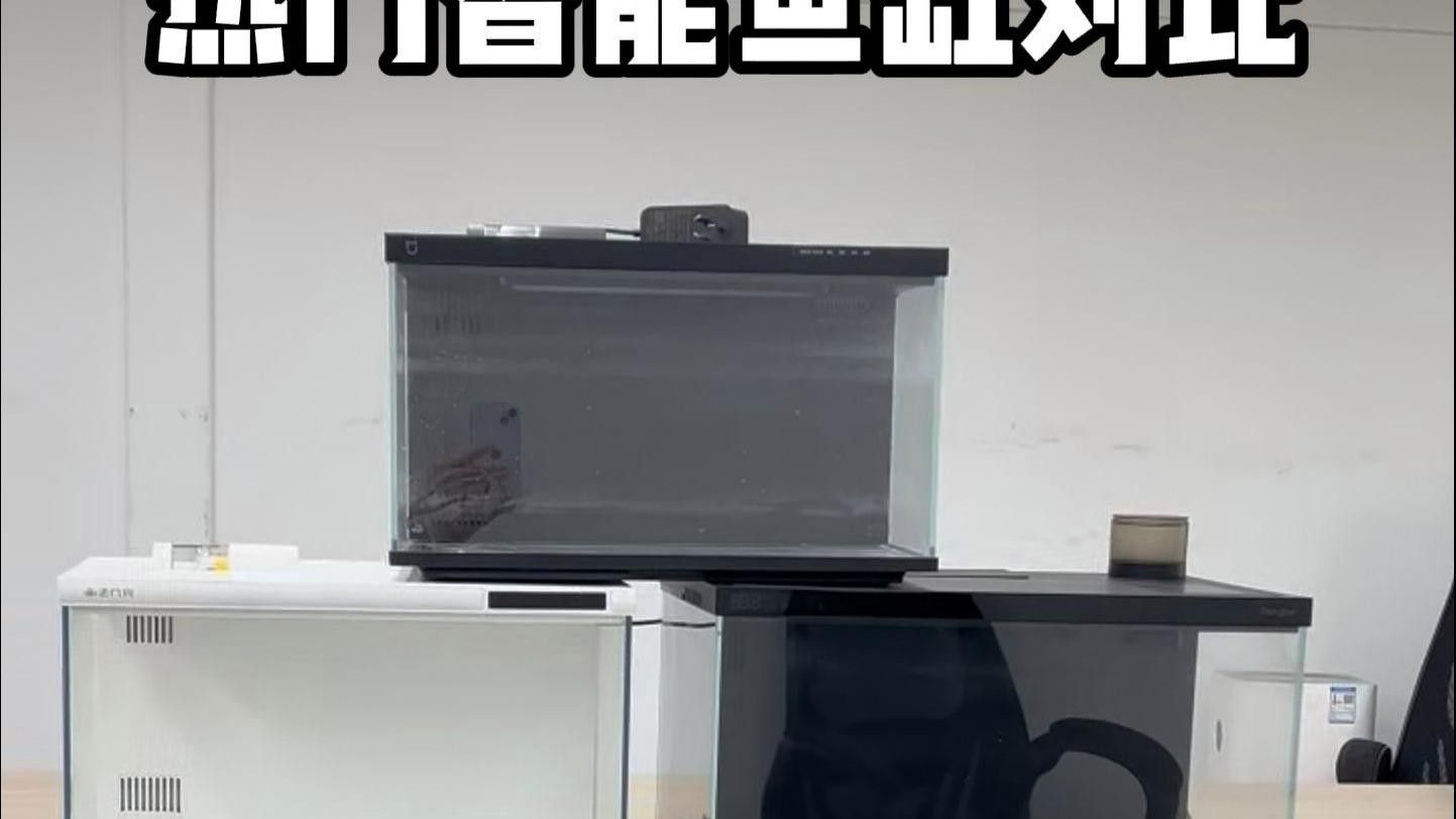最建議買三樣魚缸（三款各具特色、廣受好評的魚缸）