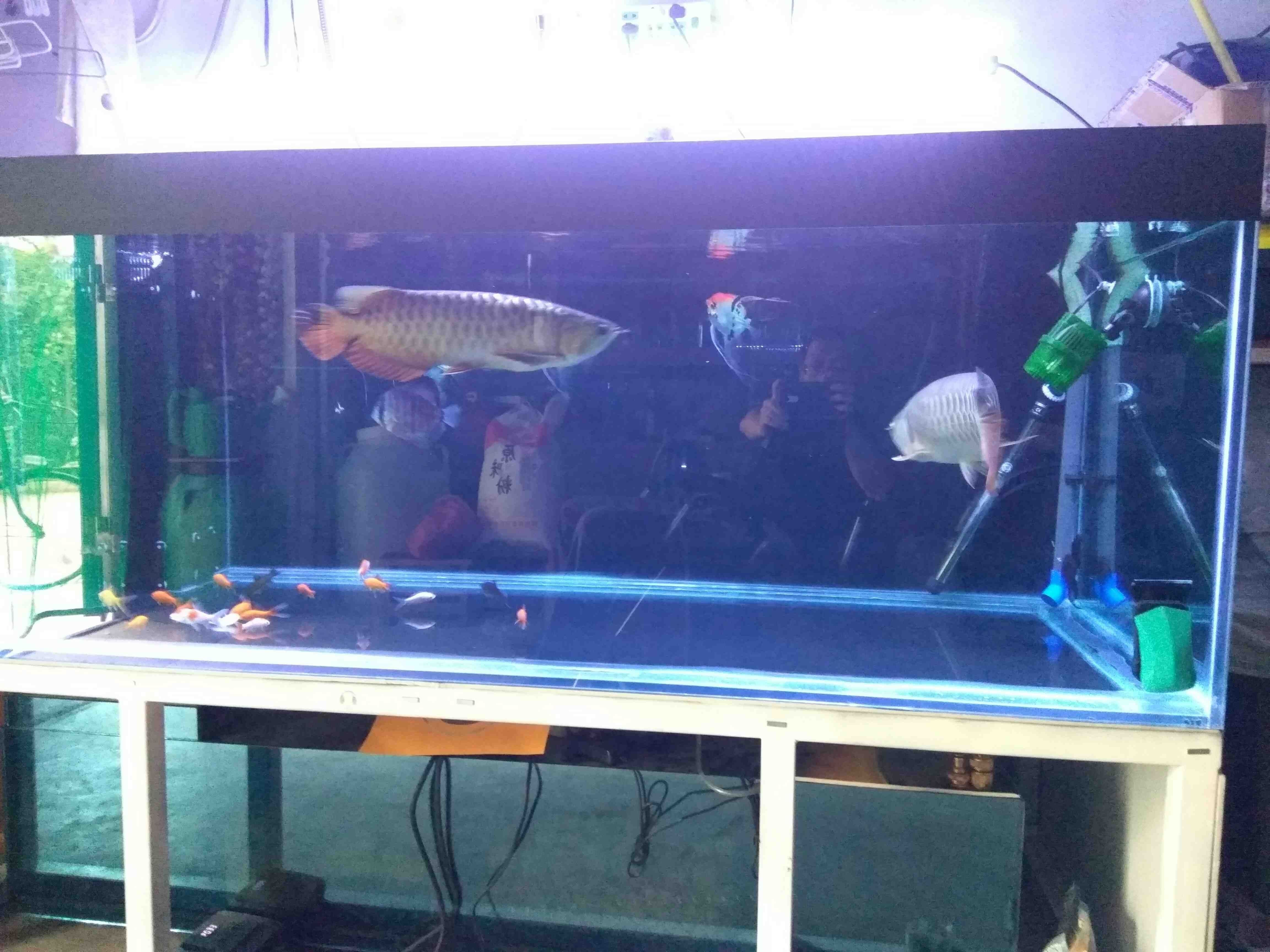 荊州水族館喂喂魚發(fā)幾張（湖北荊州水族館）