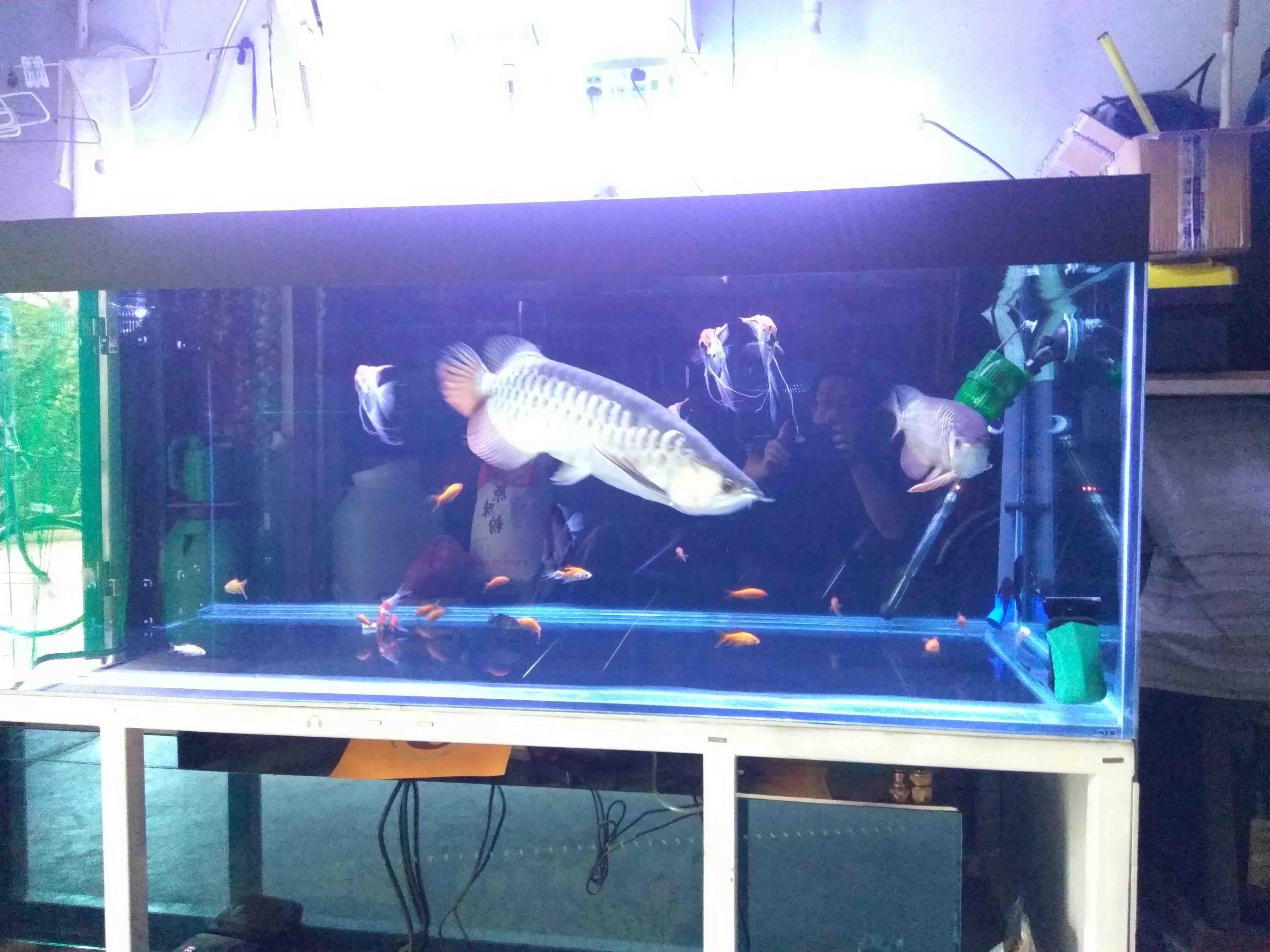 荊州水族館喂喂魚發(fā)幾張（湖北荊州水族館）