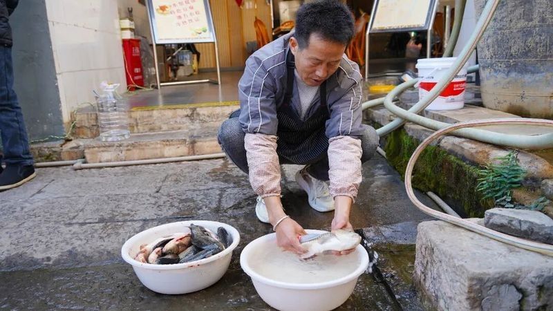 云南石屏美食魚（云南石屏美食魚有哪些歷史背景云南石屏八面煎魚） 云南石屏美食魚（云南石屏美食魚有哪些歷史背景云南石屏八面煎魚） 觀賞魚百科 第5張