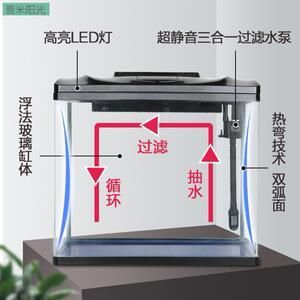 龍魚趴缸不吃食怎么治療（關(guān)于龍魚趴缸不吃食的治療方法）