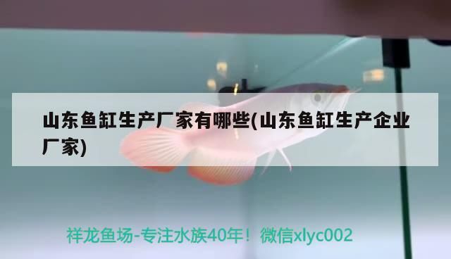 魚缸怎么畫簡(jiǎn)單好看(怎樣畫魚缸和小魚)（山東魚缸生產(chǎn)廠家有哪些）