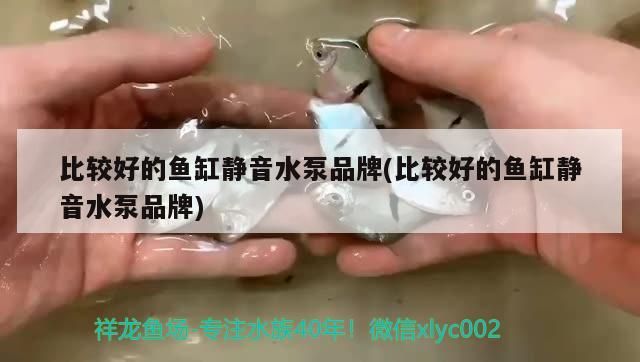 比較好的魚缸靜音水泵品牌(比較好的魚缸靜音水泵品牌)（魚缸靜音水泵品牌介紹）