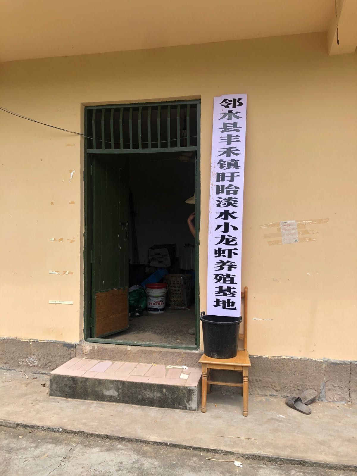 鄰水龍魚（四川省廣安市鄰水縣的養殖場信息） 鄰水龍魚（四川省廣安市鄰水縣的養殖場信息） 觀賞魚百科 第1張