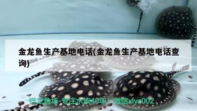 金龍魚生產(chǎn)電話(金龍魚生產(chǎn)電話查詢)（益海嘉里金龍魚生產(chǎn)電話）