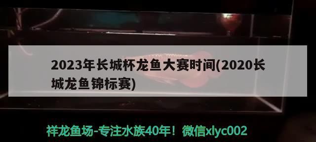 2023年長(zhǎng)城杯龍魚大賽時(shí)間(2020長(zhǎng)城龍魚錦標(biāo)賽)（2023年長(zhǎng)城杯龍魚大賽）