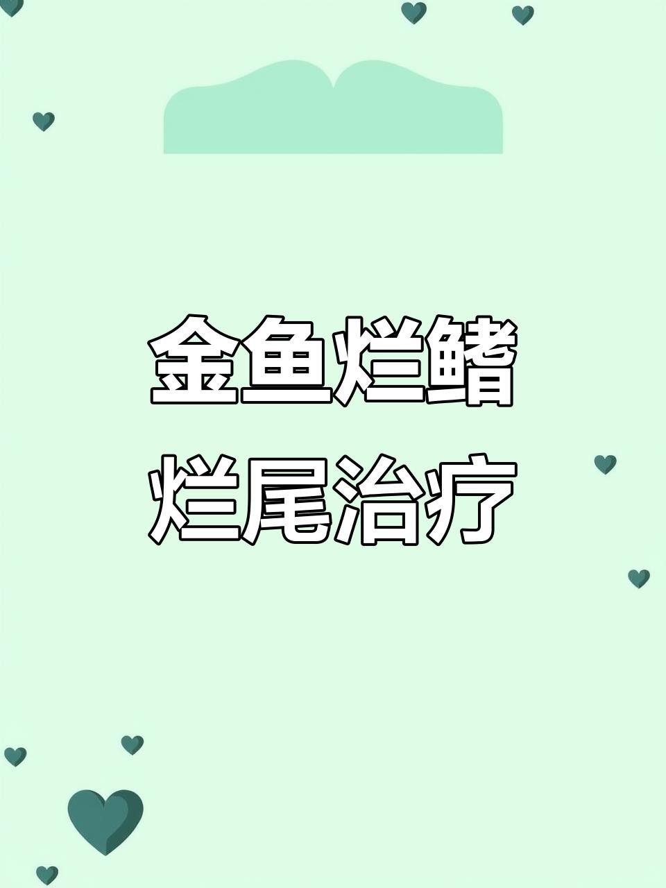 金魚疾病大全（觀賞魚常見的幾種疾病及其成因、癥狀、治療方法及預防措施）