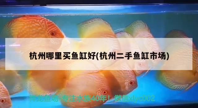 杭州哪里買魚缸好(杭州二手魚缸市場)（杭州二手魚缸市場、杭州哪里買魚缸好）