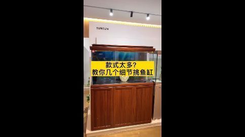 汕頭水族批發(fā)市場地址電話號(hào)碼查詢（汕頭水產(chǎn)市場營業(yè)時(shí)間）（汕頭市水族批發(fā)市場）