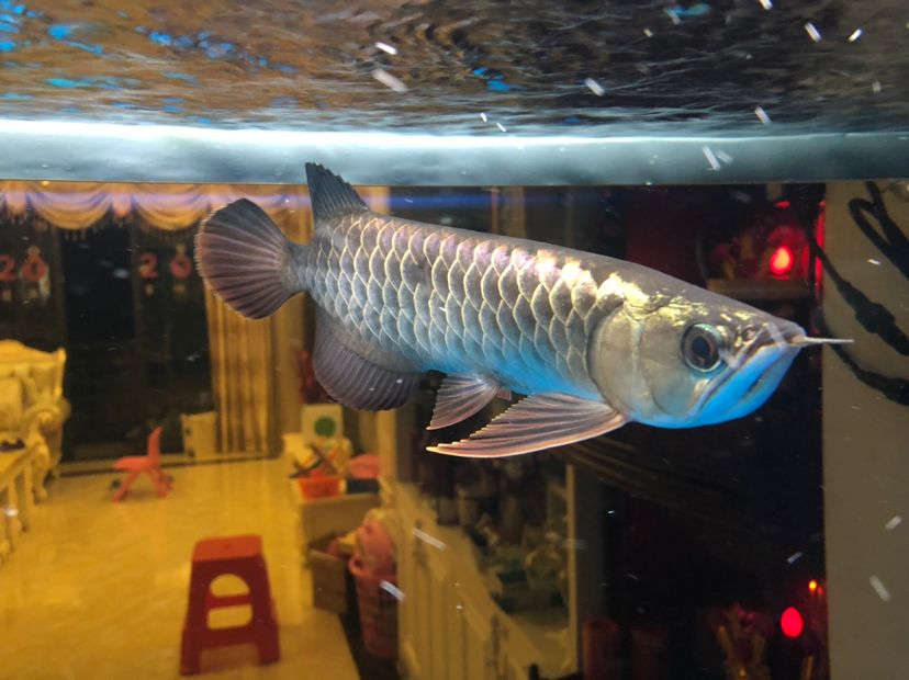 換完水簽到一下（換水簽到系統的設計與實現）