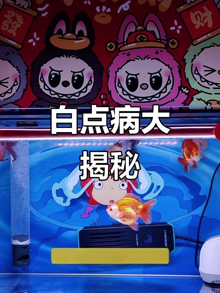 虎皮魚常見病癥狀（虎皮魚常見疾病癥狀及防治方法）