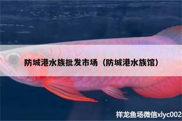 <strong><mark>防城</mark></strong>港水族批發(fā)市場（<strong><mark>防城</mark></strong>港水族館）（關(guān)于<strong><mark>防城</mark></strong>港水族批發(fā)市場的介紹）