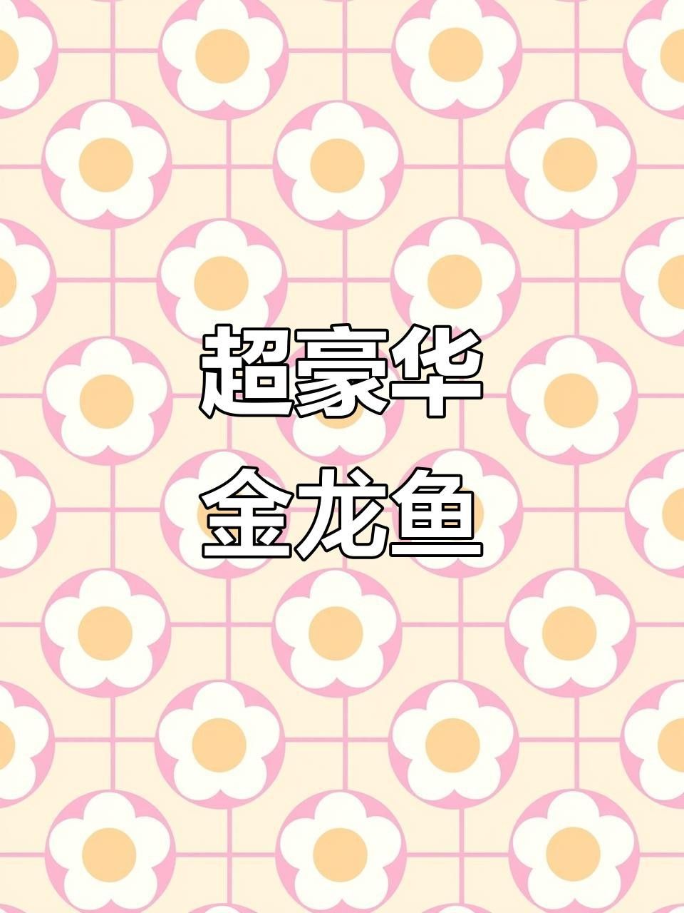 觀賞金龍魚（關于觀賞金龍魚的詳細介紹）