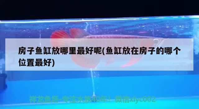 房子魚缸放哪里最好呢(魚缸放在房子的哪個(gè)位置最好)（家里面的魚缸放在什么位置最合適）