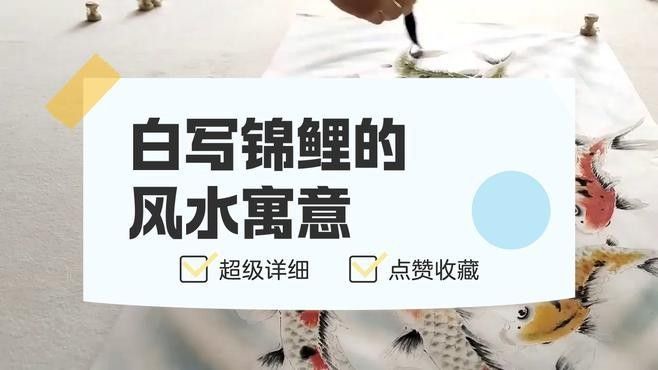 德系白寫錦鯉（德系白寫錦鯉的寓意）