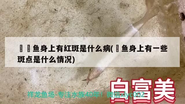 鳑鲏魚身上有紅斑是什么病(鮰魚身上有一些斑點是什么情況)（魚身上有紅斑像潰爛了是怎么回事）