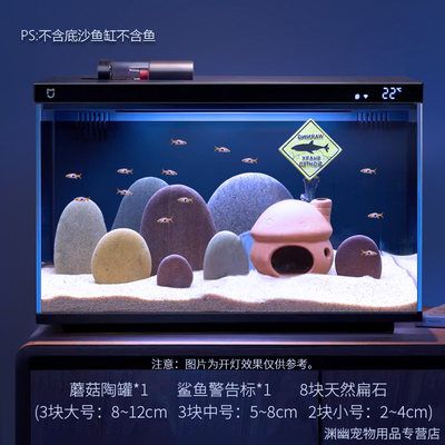 黃化銀龍魚養幾條合適（黃化銀龍魚適合養幾條）