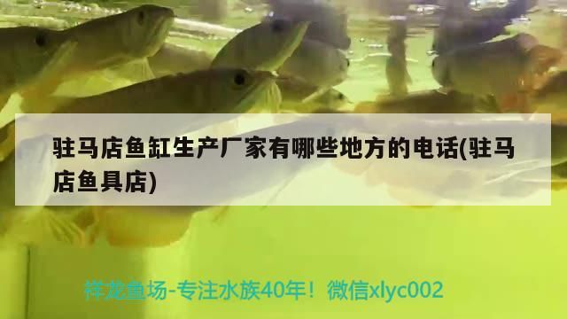 駐馬店魚缸生產(chǎn)廠家有哪些地方的電話(駐馬店魚具店)（駐馬店魚缸生產(chǎn)廠家有哪些地方的電話）