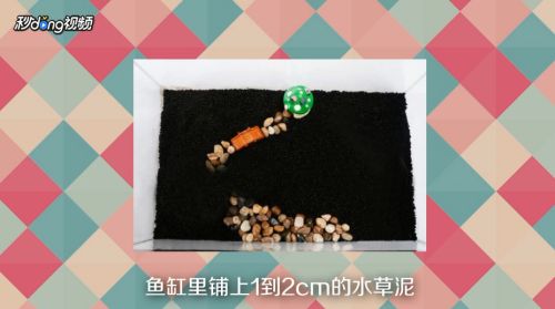 無(wú)錫哪里賣(mài)魚(yú)缸（無(wú)錫哪里買(mǎi)魚(yú)比較好）（無(wú)錫哪里賣(mài)魚(yú)缸）