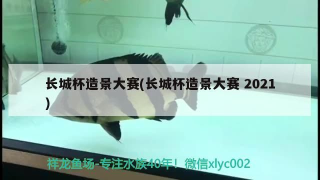 長城杯造景大賽(長城杯造景大賽2021)（長城杯造景大賽2021）
