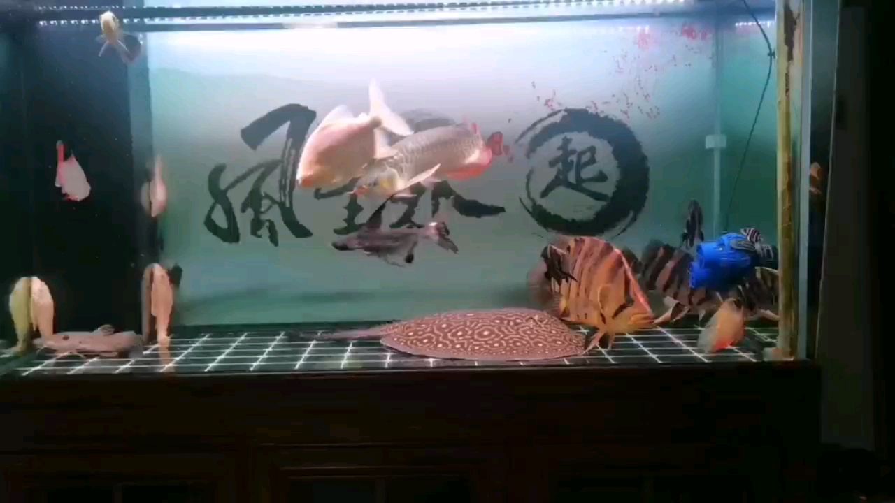 龍虎鳳大雜燴（“龍虎鳳大雜燴”這一傳統(tǒng)美食的制作與文化內(nèi)涵與文化內(nèi)涵）
