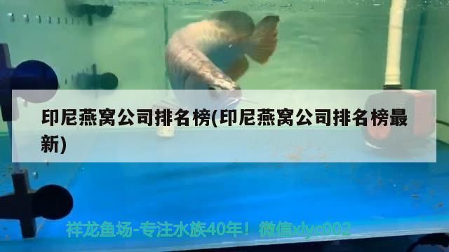 印尼燕窩公司排名榜(印尼燕窩公司排名榜最新)（印尼燕窩公司排名榜）