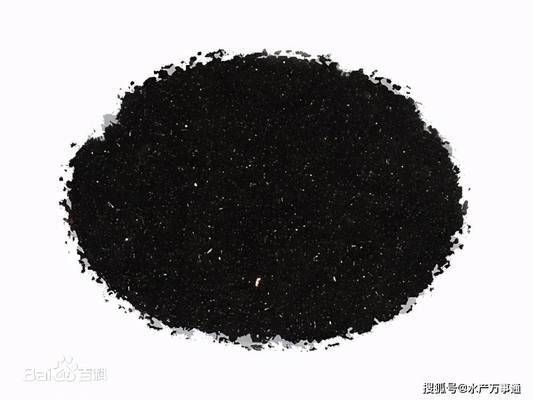 世界上最大的龍魚圖片（世界上最大的龍魚是什么品種，如何辨別一個龍魚是否健康）