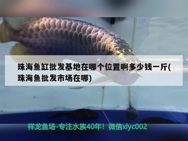 珠海魚缸批發基地在哪個位置啊多少錢一斤(珠海魚批發市場在哪)（珠海魚缸批發基地在哪、珠海魚缸批發基地在哪個位置）