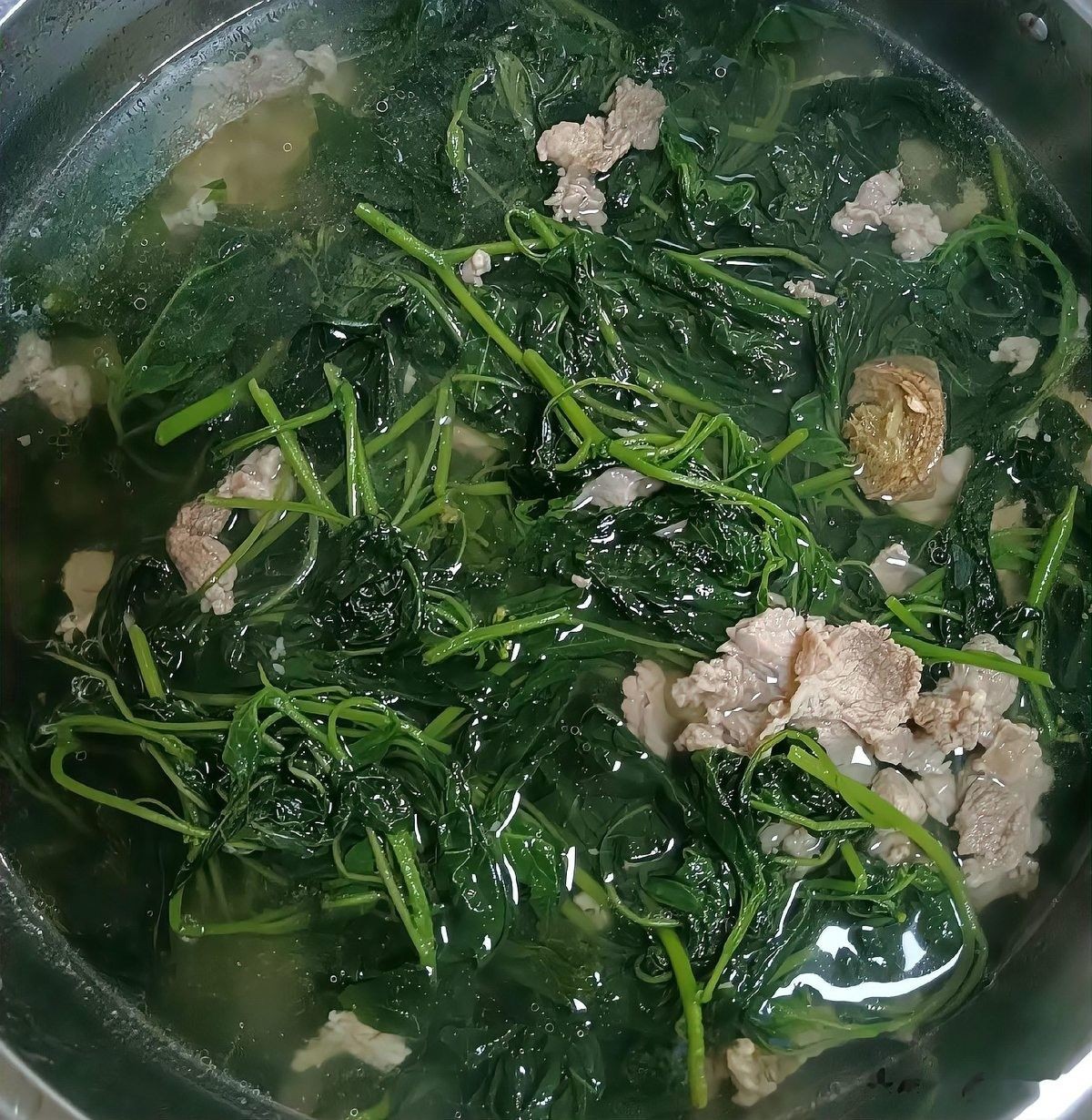 龍葵魚是什么魚（龍葵魚的產地有哪些龍葵魚的產地有哪些） 龍葵魚是什么魚（龍葵魚的產地有哪些龍葵魚的產地有哪些） 觀賞魚百科 第3張