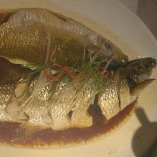 龍葵魚是什么魚（龍葵魚的產地有哪些龍葵魚的產地有哪些） 龍葵魚是什么魚（龍葵魚的產地有哪些龍葵魚的產地有哪些） 觀賞魚百科 第1張
