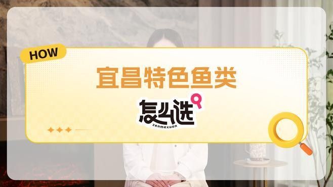 宜昌什么魚最出名（宜昌最出名的魚類——長江肥魚）