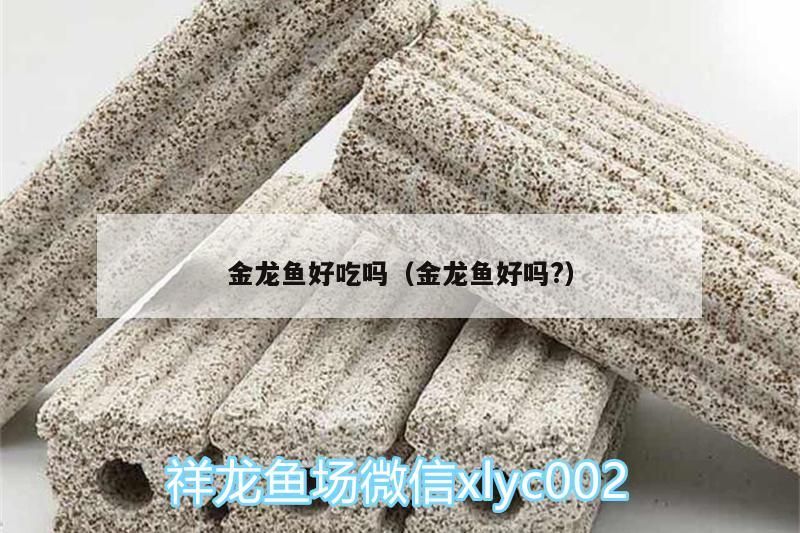 金龍魚好吃嗎（金龍魚好嗎?）（金龍魚好吃嗎，）