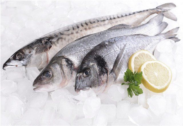 多大的銀龍魚可以吃小魚苗：銀龍魚可以吃小魚苗嗎，銀龍魚吃小魚苗需要注意什么