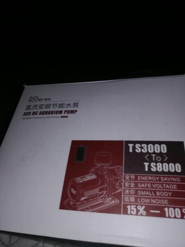 龍魚配合飼料喂什么好養(yǎng)（ 龍魚喂什么魚）（銀龍魚飼料喂什么好養(yǎng)，龍魚配合飼料喂什么好養(yǎng)，龍魚喂什么好養(yǎng)）