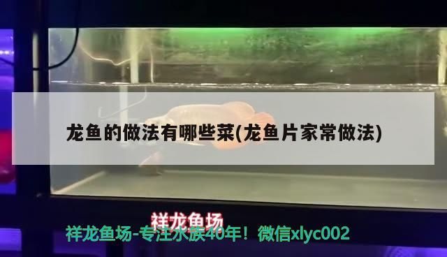 龍魚(yú)的做法有哪些菜(龍魚(yú)片家常做法)（龍利魚(yú)的家常做法：絲、鹽、雞精、鹽、雞精、鹽、雞精、鹽、雞精）