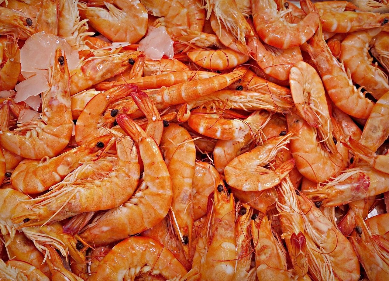 養(yǎng)金龍魚的寓意和象征（金龍魚的寓意和象征風(fēng)水）（養(yǎng)金龍魚有什么寓意？）