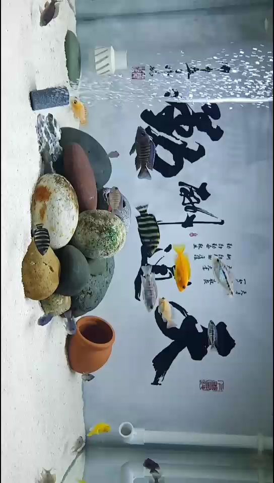 好久沒發貼了發一個（好久沒發貼了一個，本文旨在探討長時間未發布帖子的現象及其對社交媒體生態的影響）