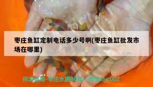 棗莊魚缸定制電話多少號啊(棗莊魚缸批發市場在哪里)（棗莊魚缸定制電話多少號）