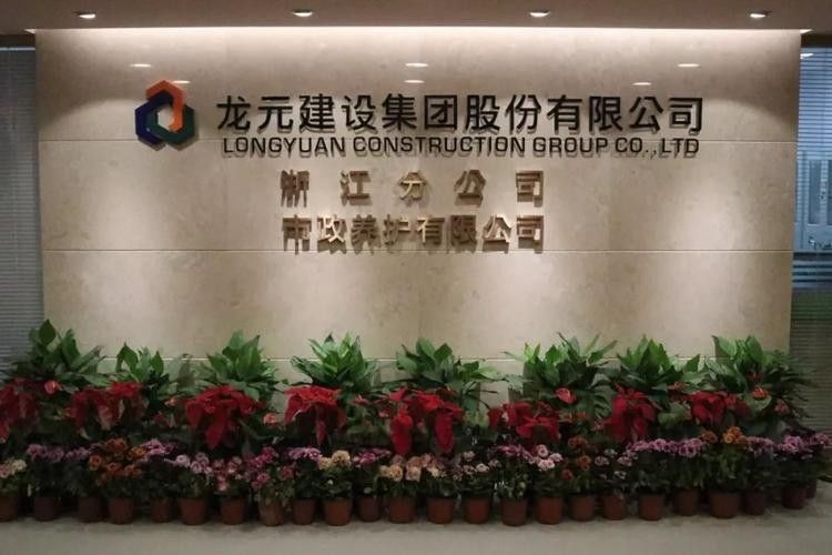 龍元圖片（漫畫《風云》中龍元在圖像處理中的不同應用場景）